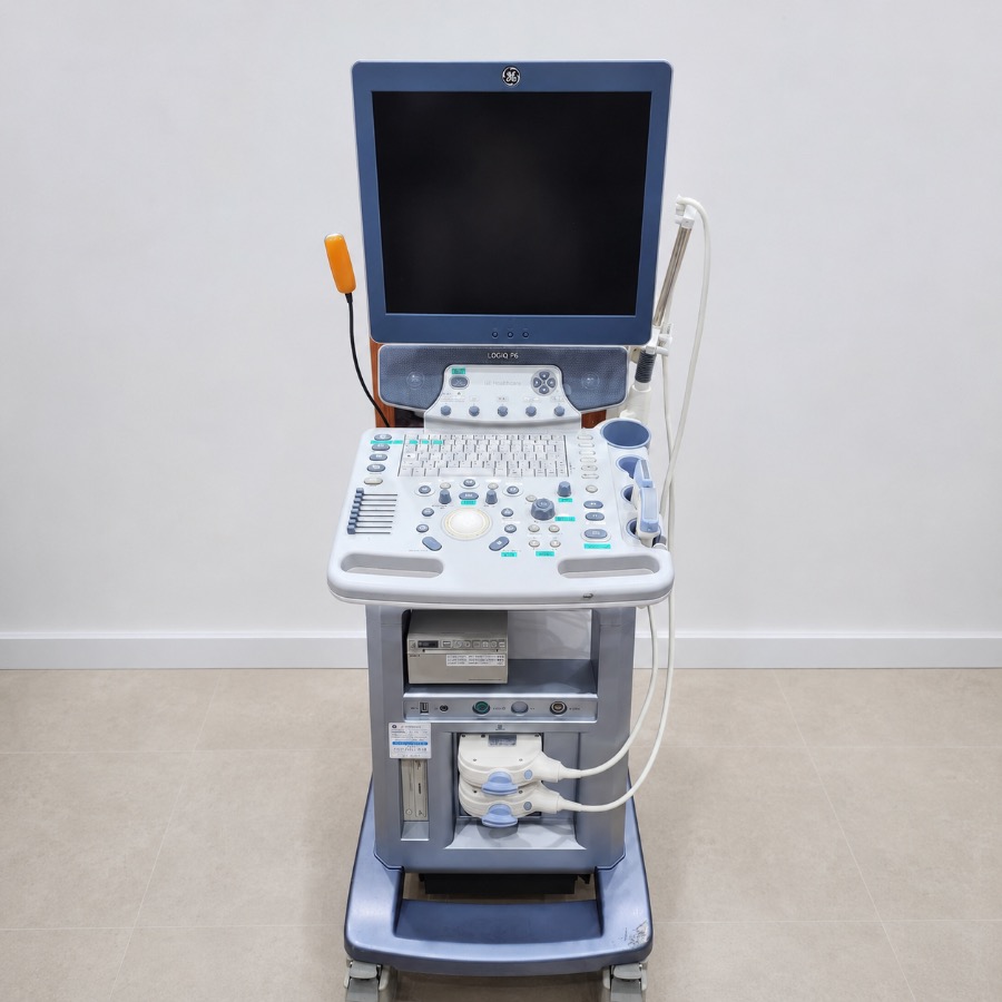 GE Logiq P6
